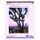 Visitor Vehicle Emissions Study - Comparison of Traffic Data at Three California National Parks- Final Report (Paperback):...