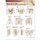 Lippincott Williams & Wilkins Atlas of Anatomy Skeletal System Chart: Head and Trunk (Wallchart): Anatomical Chart Company