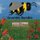 Grumble Bumble (Paperback): Bob Patterson, Mary Patterson