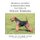 Medical, Genetic & Behavioral Risk Factors of Welsh Terriers (Paperback): DVM Ross D Clark