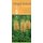 Fringed Orchids in Your Pocket - A Guide to Native Platanthera Species of the Continental United States and Canada (Paperback):...