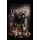 Misplaced Loyalty (Hardcover): Mark lLong