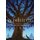 Wishtree (Hardcover): Katherine Applegate