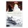 Pulling Off the Perfect Wedding Reception - From Your Wedding Reception Timeline to Working with Your Wedding DJ (Paperback):...