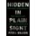 Hidden in Plain Sight - What Really Caused the World's Worst Financial Crisis and Why It Could Happen Again (Paperback):...