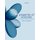 Properties of Materials - Anisotropy, Symmetry, Structure (Hardcover): Robert E. Newnham