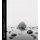 Mary Randlett Landscapes (Paperback): Mary Randlett