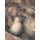 Momma, Buy Me a China Doll (Hardcover): John M. Feierabend