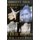 A Sirius Condition (Paperback): J.Jones, Karen Howard