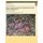 Rocky Intertidal Community Monitoring at Channel Islands National Park - 2002 Annual Report (Paperback): Derek Lerma, Paula Rich