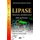 Lipase - Functions, Synthesis & Role in Disease (Hardcover): Hamdi Sassi, Sofien Cannamela