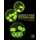 Handbook of Marine Microalgae - Biotechnology Advances (Hardcover): Se-Kwon Kim