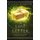 The Last Letter (Paperback, 2nd New edition): Kirsten McKenzie