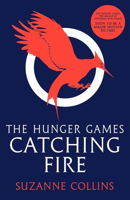 Catching Fire Image