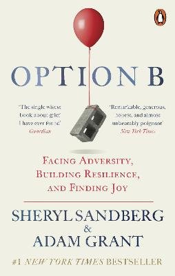 Option B Image