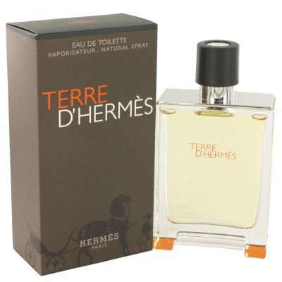 Hermes Terre D'Hermes Eau De Toilette (100ml) Image