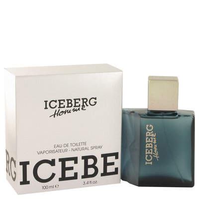 Iceberg Homme Eau de Toilette (100ml) Image