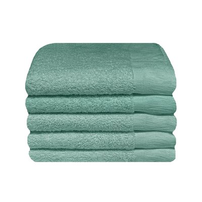 Bunty Plush 100% Cotton Terry Fringe Guest Towel (Harbor Gray)(Pack of 5)(380gsm) Image