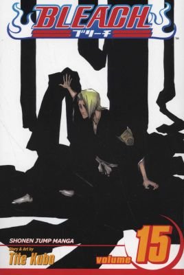 Bleach - Volume 15 Image