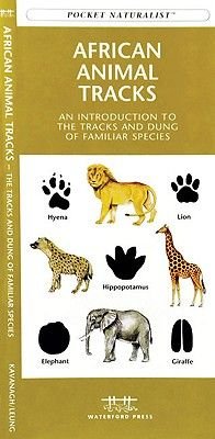 African Animal Tracks Image