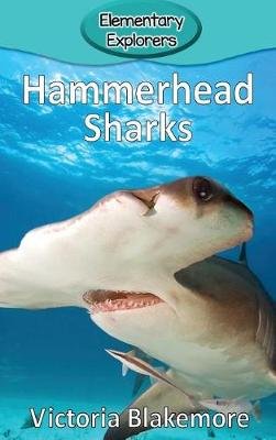 Hammerhead Sharks Image