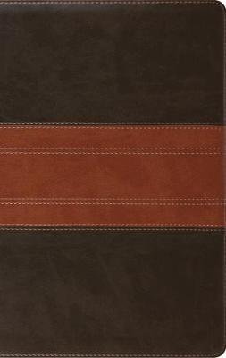ESV Large Print Personal Size Bible Image