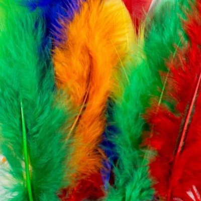 Dala Craft Feathers - Assorted Colours (6cm)(50 Pack) Image