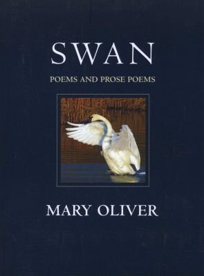 Swan Image