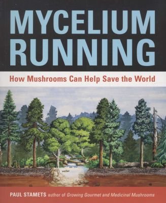 Mycelium Running Image