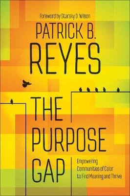 The Purpose Gap Image