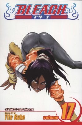 Bleach - Volume 17 Image