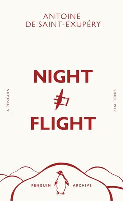Night Flight Image