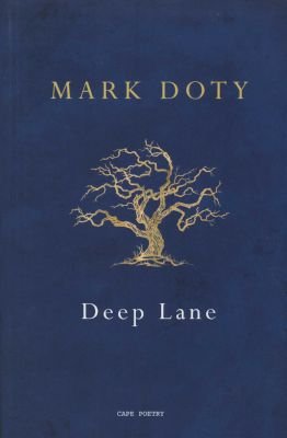Deep Lane Image