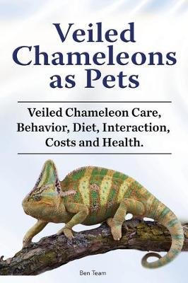 Veiled Chameleons as Pets. Veiled Chameleon Care, Behavior, Diet, Interaction, Costs and Health. Image