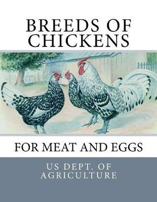 Breeds of Chickens for Meat and Eggs Image