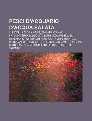 pesci d acquario d