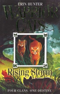 Rising Storm Image