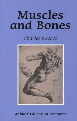 Muscles and Bones Image