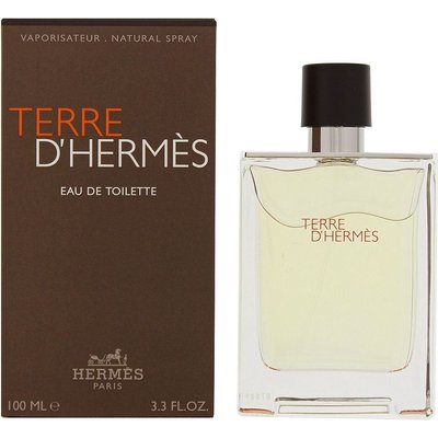 Hermès Terre D'Hermès Eau de Toilette (100ml) Image