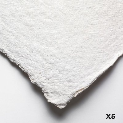 Jackson's Eco Paper - Extra Rough (560lb)(22x30")(5 full Sheets) Image