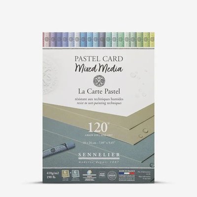 Sennelier Mixed Media Pastel Card Pad - Shades of Grey (12 Sheets)(410 gsm)(18 x 24cm) Image