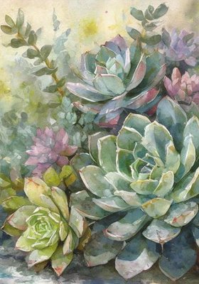 SUCCULENT HARMONY SML 400x300mm - decoupage sheet Image