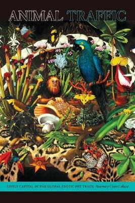Animal Traffic Image