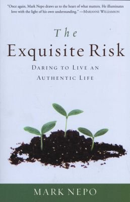 The Exquisite Risk Image