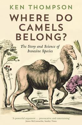 Where Do Camels Belong? Image
