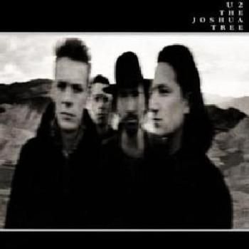 The Joshua Tree Image
