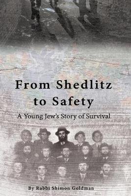 From Shedlitz to Safety Image