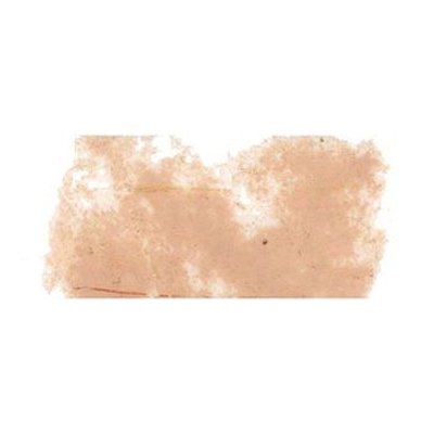 Talens Rembrandt Soft Pastel - Light Oxide Red TR339.8 Image