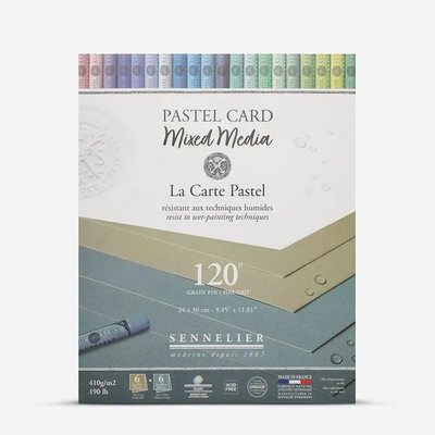Sennelier Mixed Media Pastel Card Pad - Shades of Grey (12 Sheets)(410 gsm)(24 x 30cm) Image