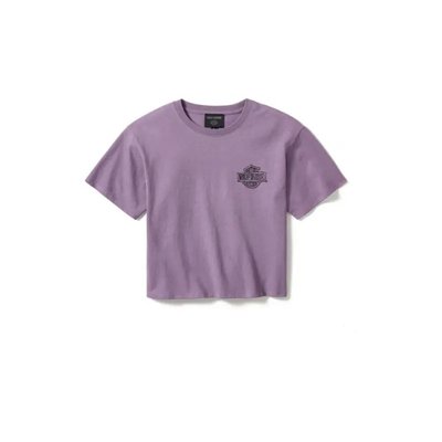 In the Wind Rider Sketch Art Boxy Tee (XL) Image